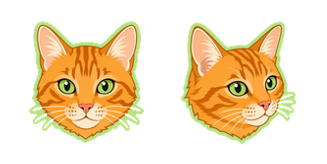 Cute Marmalade Tabby Cat Face