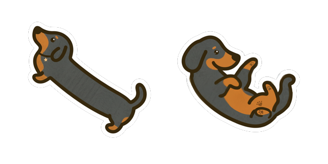 Funny Long Wiener Dog Playful