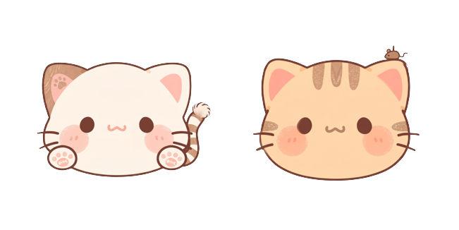 Aesthetic Cute Ginger & White Cat