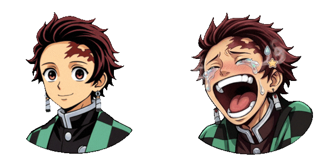 Demon Slayer Tanjiro Kamado Funny Expression