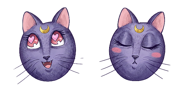 Sailor Moon Luna Cat
