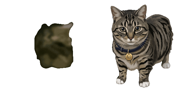 Oo-Ee-A-E-A Cat Meme Spinning and Standing